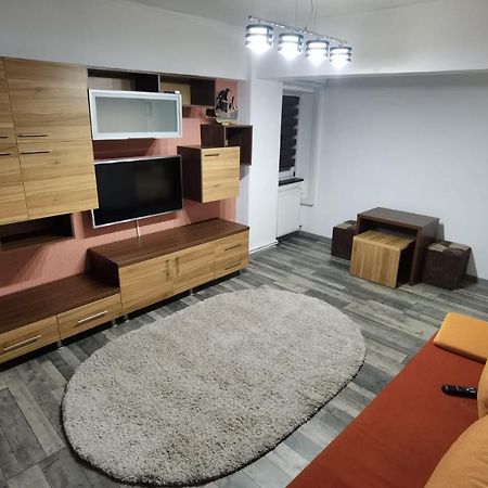 Apartament - Central Тыргу-Жиу Экстерьер фото