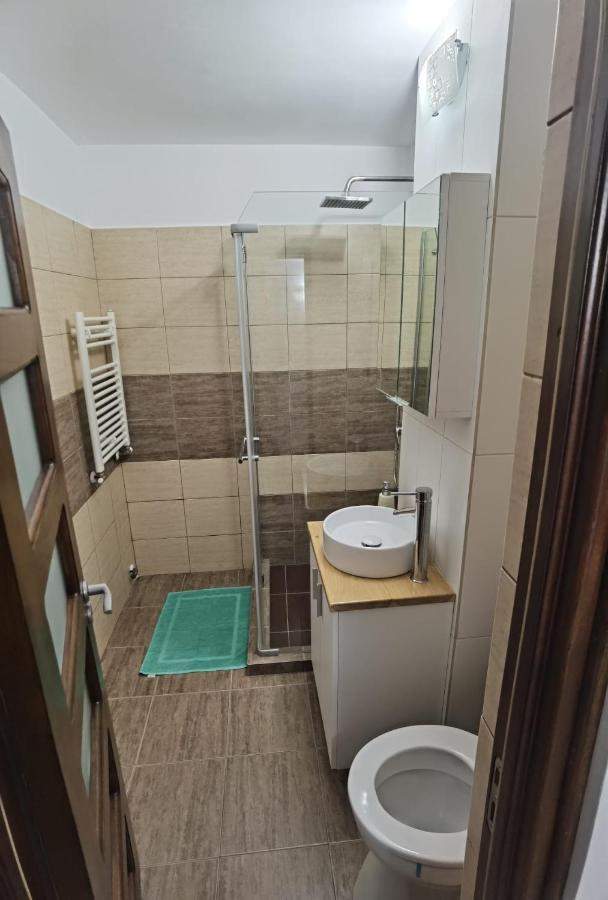 Apartament - Central Тыргу-Жиу Экстерьер фото
